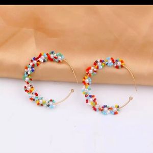 Multicolor Earrings